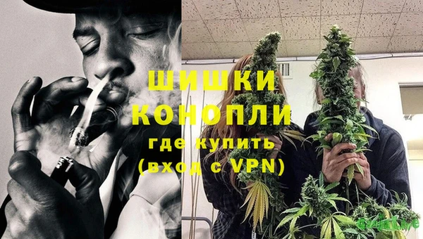 PSILOCYBIN Алексеевка