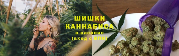 ПСИЛОЦИБИНОВЫЕ ГРИБЫ Абдулино